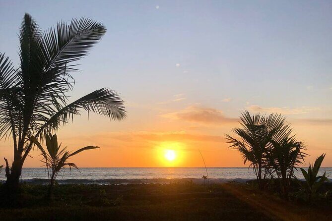 Turtle Tales of Pulau Banyak - Practical Tips