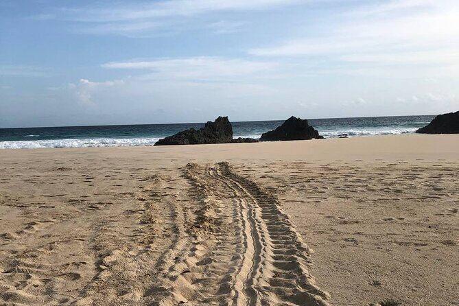 Turtle Tales of Pulau Banyak - The Sum Up