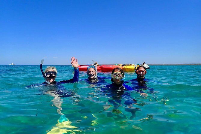 Turtle Tour - Ningaloo Reef Half Day Sea Kayak and Snorkel Tour - What Makes the Turtle Tour Stand Out?