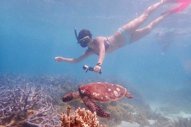 Turtle Tour - Ningaloo Reef Half Day Sea Kayak and Snorkel Tour - FAQ
