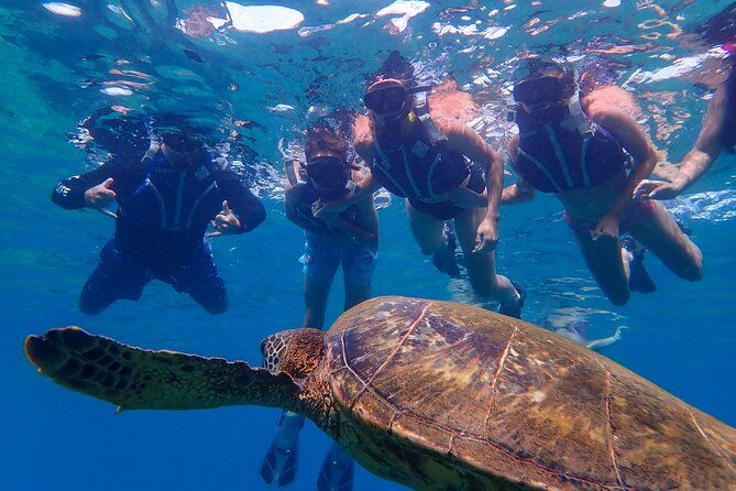 turtle-town-beach-snorkel