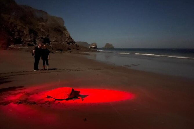 turtle-watching-night-tours-with-expert-naturalist