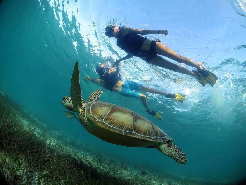 Turtles and Cenotes Tour - The Practical Details