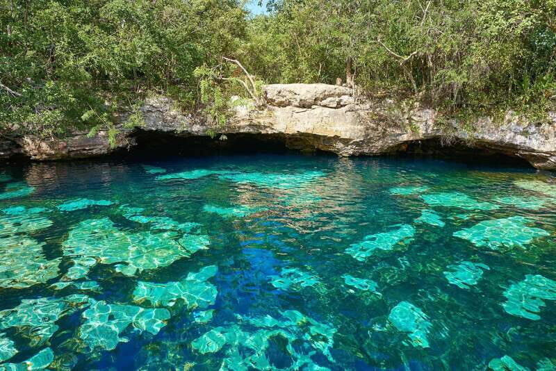 Turtles+ ATV & Cenote (transportation included) - Final Thoughts: Is This Tour for You?