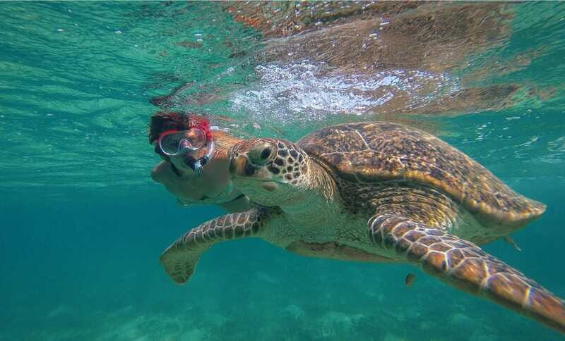 Turtles+ ATV & Cenote (transportation included) - Frequently Asked Questions