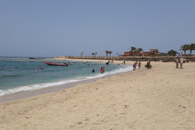 Turtles Bay, Swimming with Turtles Hurghada & Marsa ALam - Key Points