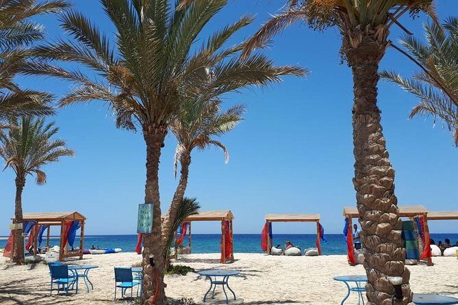 Turtles Bay, Swimming with Turtles Hurghada & Marsa ALam - Who Is This Tour Best For?
