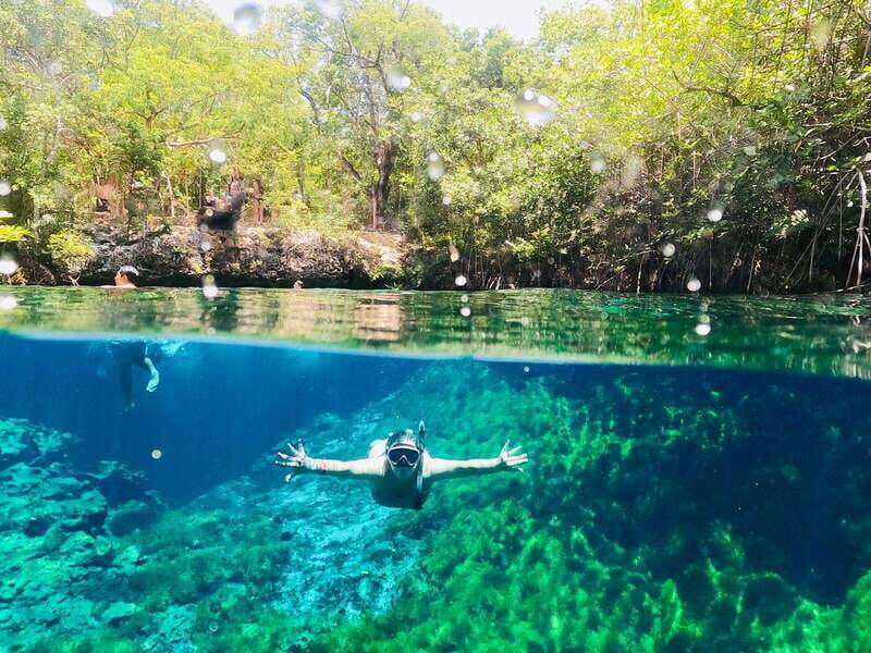 Turtles & Cenotes Private Tour - Experience Overview: A Well-Structured Day in Nature’s Paradise