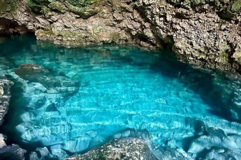 Turtles swimming, Jozani Forest, Kuza Cave & Rock Restaurant - Final Thoughts: Is This Tour Worth It?