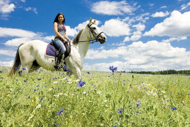 tuscan-chianti-hills-horseback-riding-tour-2