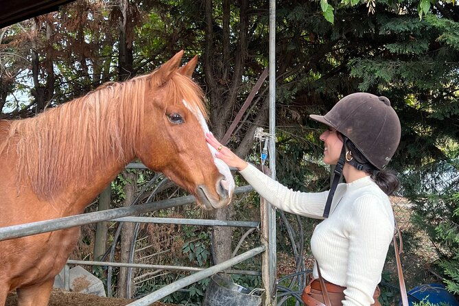 tuscan-chianti-hills-horseback-riding-tour