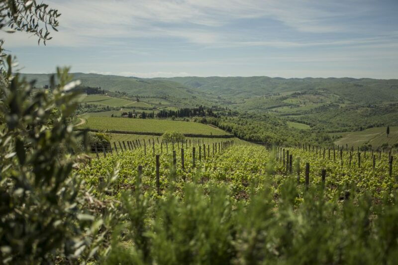 tuscan-cooking-experience-with-wine-tasting-in-panzano-in-c