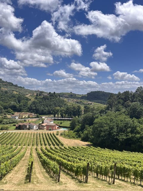 tuscan-wine-tour-by-van-from-lucca