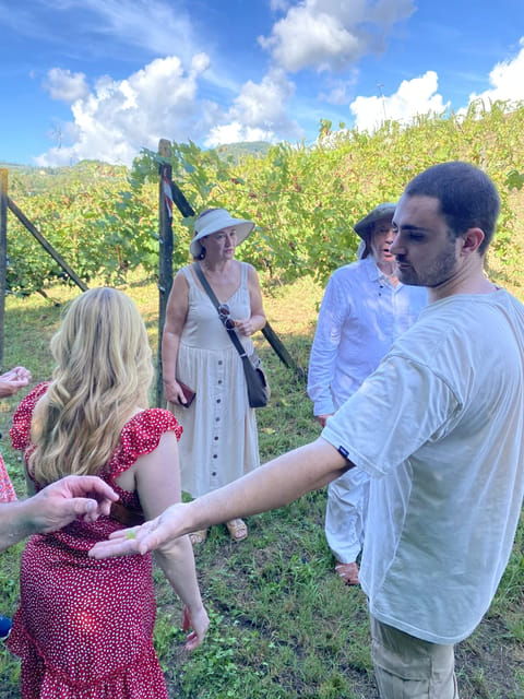 tuscan-wine-tour-by-van-from-lucca