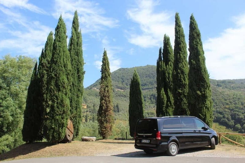Tuscan Wine Tour by van from Pisa - Key Points