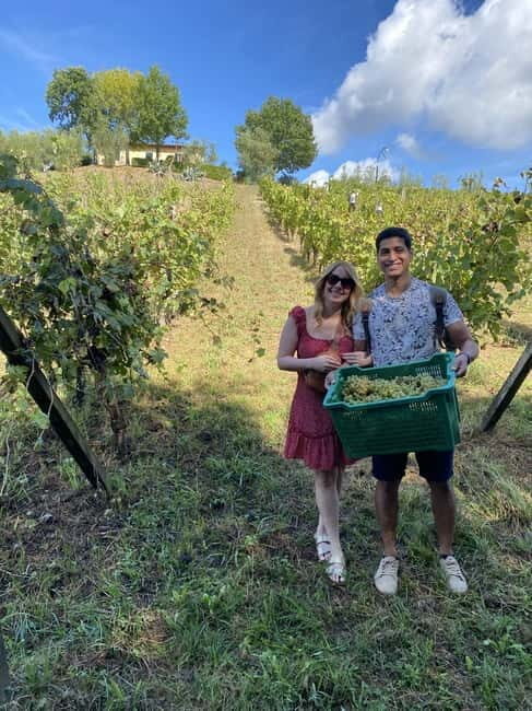 Tuscan Wine Tour by van from Pisa - FAQs