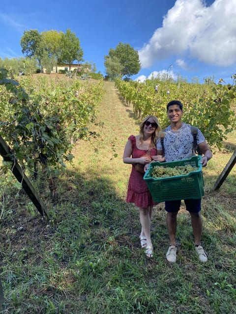 tuscan-wine-tour-by-van-from-pisa