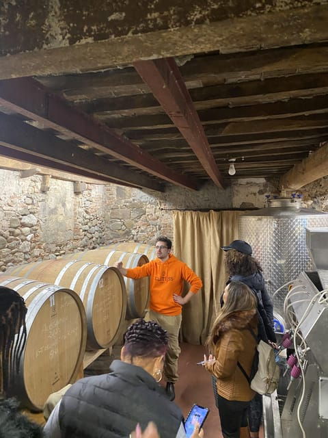 tuscan-wine-tour-by-van-from-pisa
