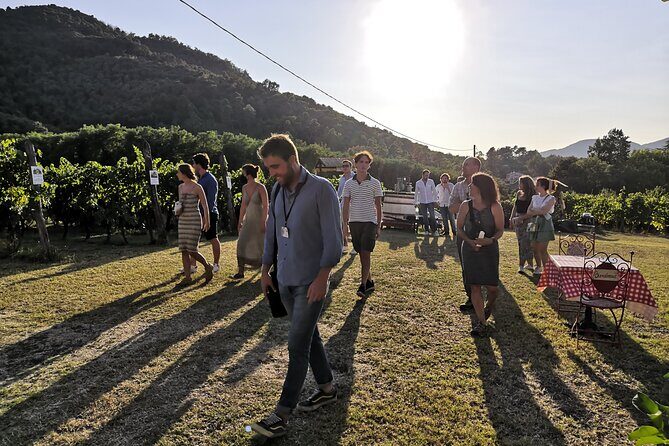 Tuscan Wine Tour in Lucca by van - Authenticity and Intimate Encounters with Winemakers