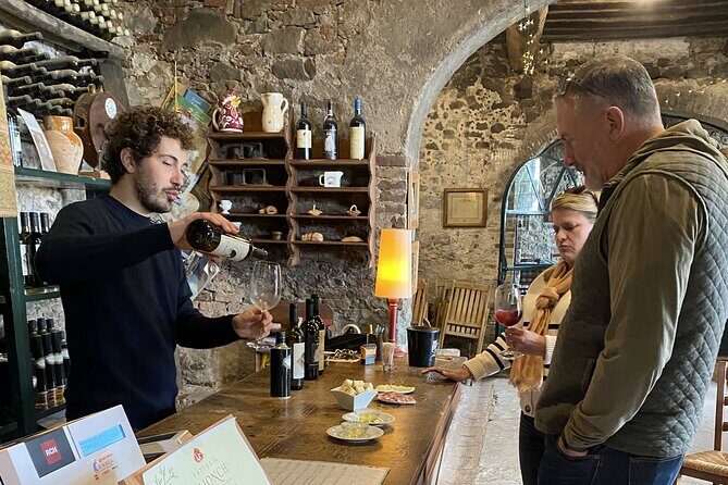 Tuscan Wine Tour in Lucca by van - Focus on Organic and Boutique Wineries