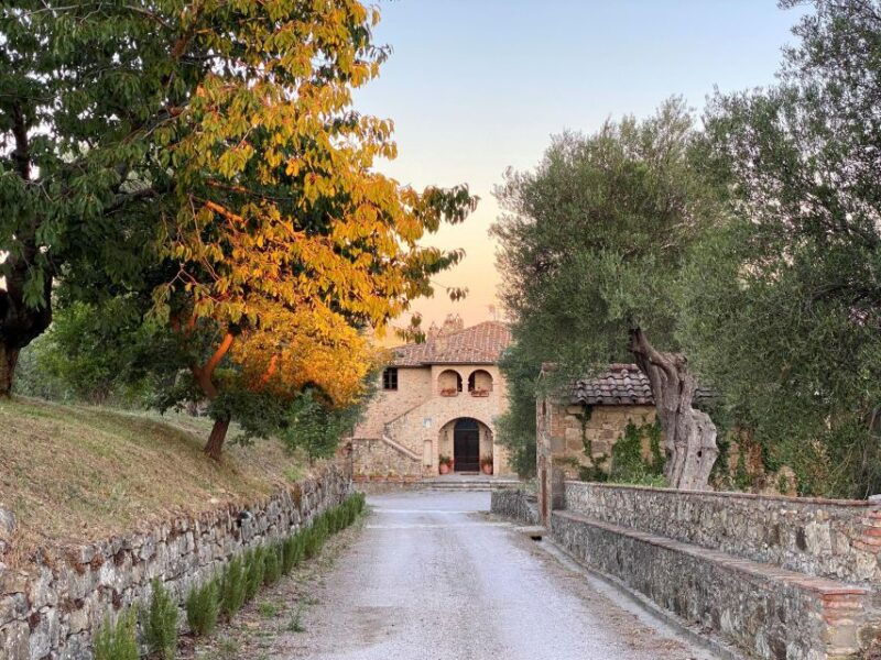 tuscany-3-days-as-a-winemaker-in-wine-resort-with-pool