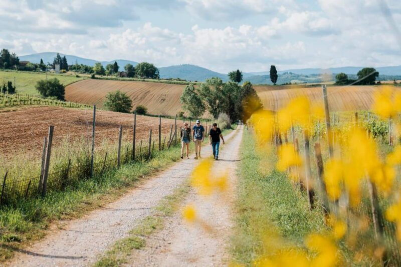 tuscany-agro-trekking-with-wine-and-olive-oil-tasting