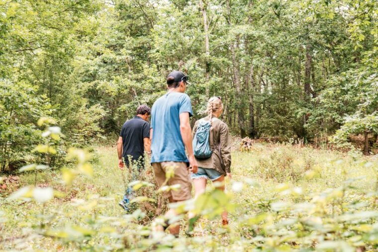 tuscany-agro-trekking-with-wine-and-olive-oil-tasting