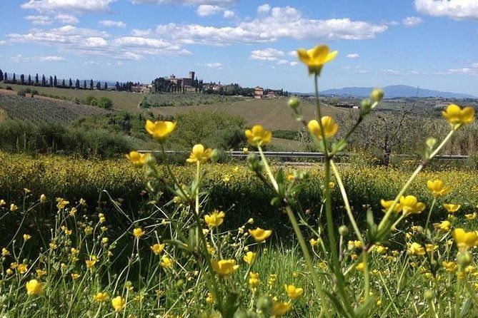 tuscany-bike-tours-through-the-chianti-hills-with-wine-tasting