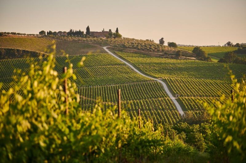 tuscany-chianti-wine-paradise-tour