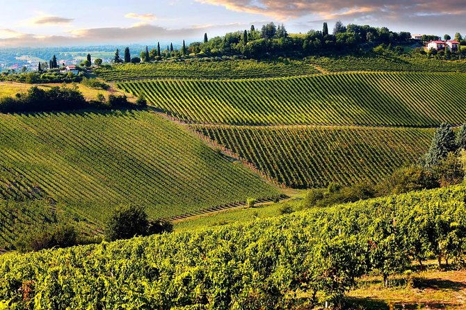 tuscany-countryside-from-livorno-private-volterra-san-gimignano-wine-tasting