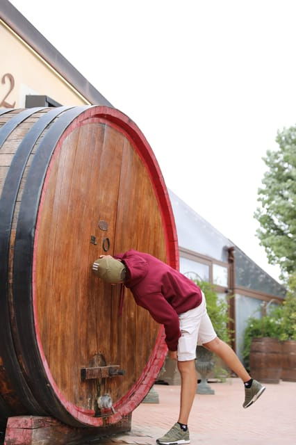 tuscany-day-trip-vinery-by-florence-rome-by-car-no-bus