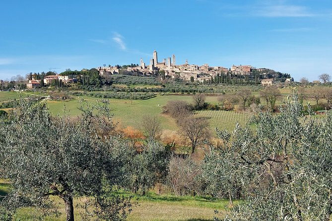 tuscany-experience-pisa-siena-san-gimignano-wine-tasting