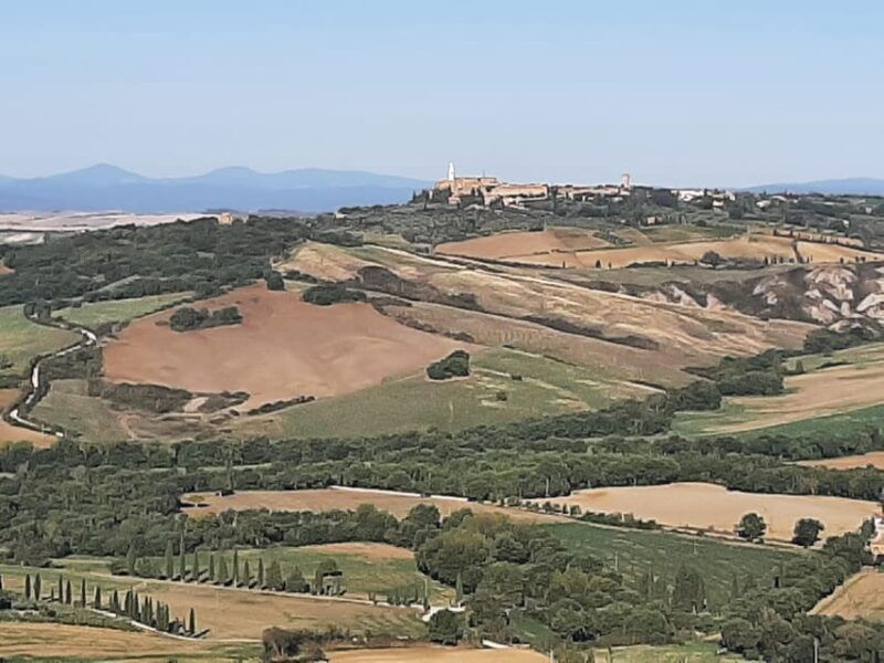 tuscany-from-rome-pienza-and-montepulciano-private-day-tour