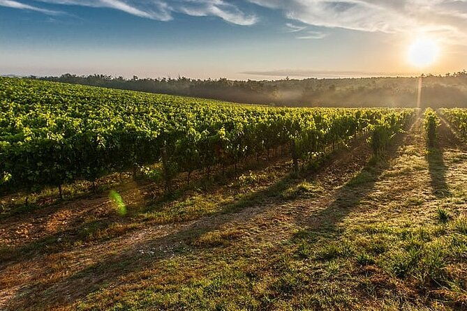 tuscany-from-rome-siena-and-san-gimignano-private-day-tour