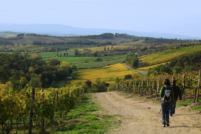 tuscany-hiking-tour-from-siena-including-wine-tasting