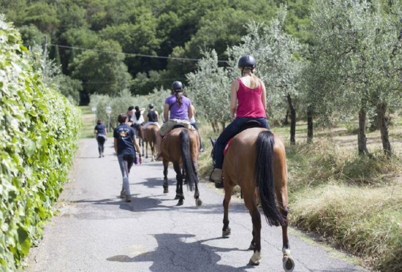 tuscany-horseback-riding-adventure-with-lunch-in-a-winery