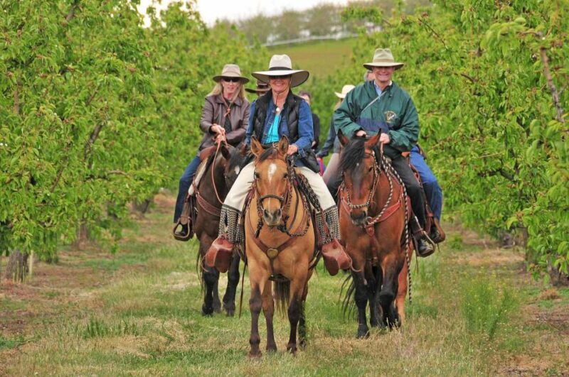 tuscany-horseback-riding-adventure-with-lunch-in-a-winery