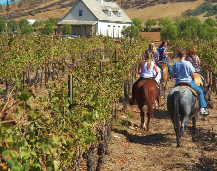 tuscany-horseback-riding-adventure-with-lunch-in-a-winery