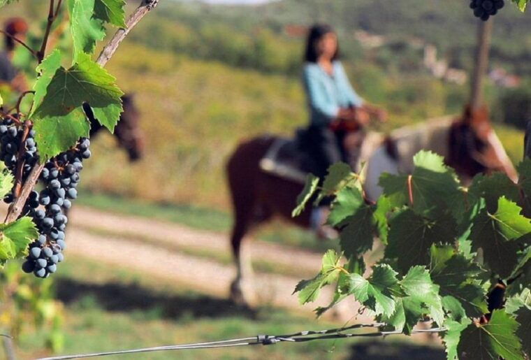 tuscany-horseback-riding-adventure-with-lunch-in-a-winery