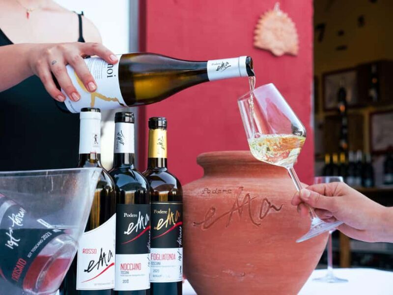Tuscany: Immersive Winery + tasting (4 wines) - A Detailed Look at the Experience