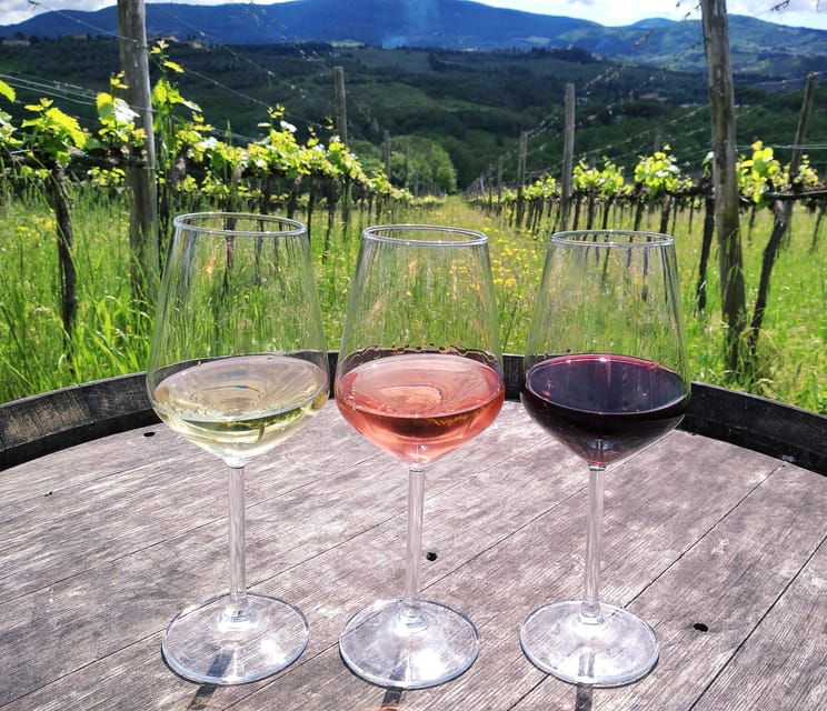 tuscany-immersive-winery-tasting-4-wines