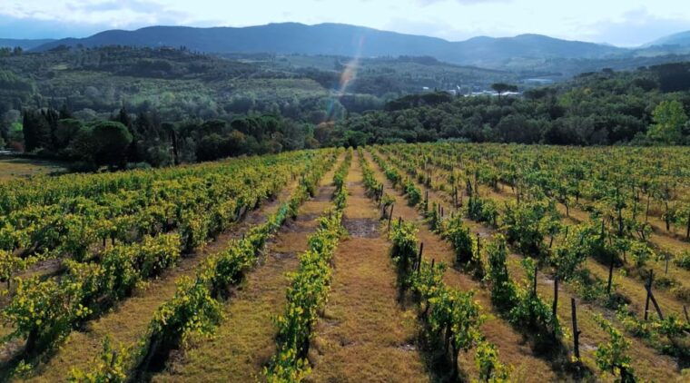 tuscany-immersive-winery-tasting-4-wines