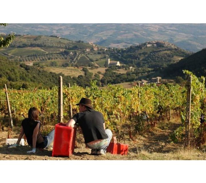 tuscany-montalcino-dinner-at-san-gimignano-winery