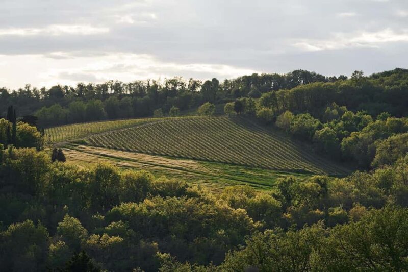Tuscany: Picnic with Wine and Delicacies in Radda in Chianti - Discovering the Charm of Radda in Chianti
