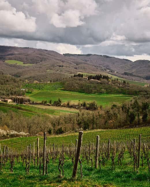 Tuscany: Picnic with Wine and Delicacies in Radda in Chianti - Who Will Love This Experience?