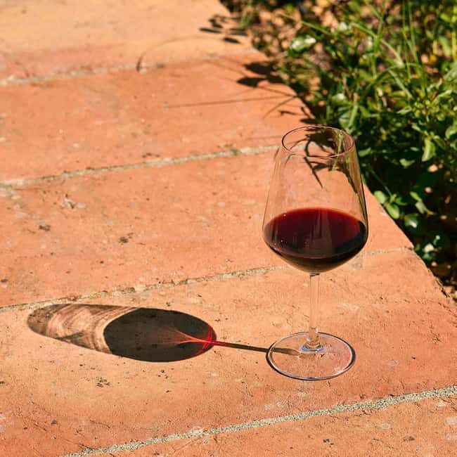 Tuscany: Picnic with Wine and Delicacies in Radda in Chianti - Final Thoughts