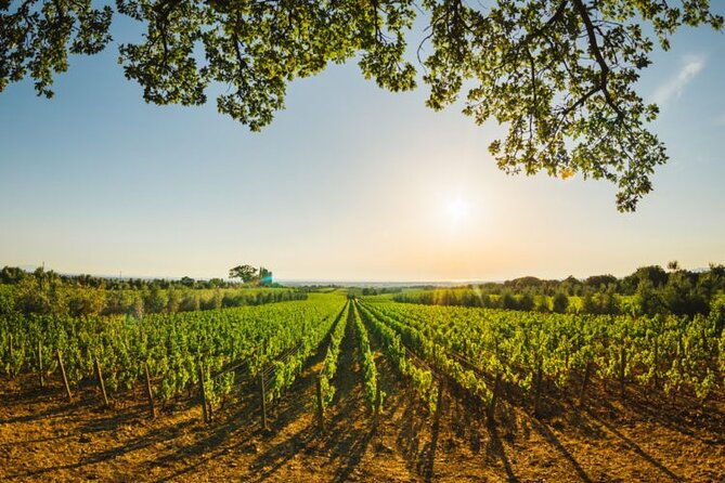 tuscany-private-day-trip-siena-and-san-gimignano-from-florence