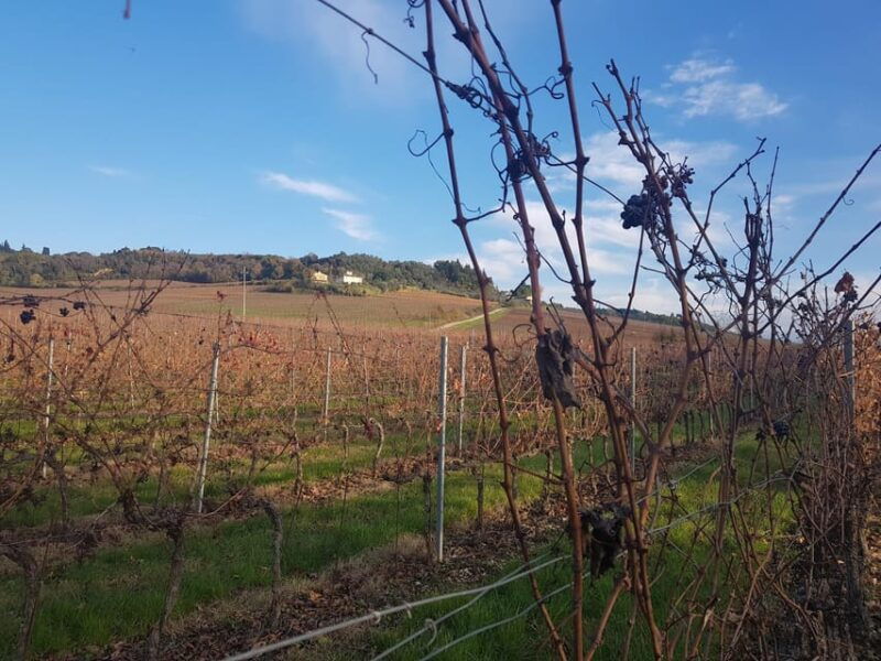 tuscany-siena-san-gimignano-and-chianti-wine-tour