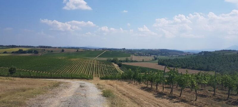 tuscany-siena-san-gimignano-and-chianti-wine-tour