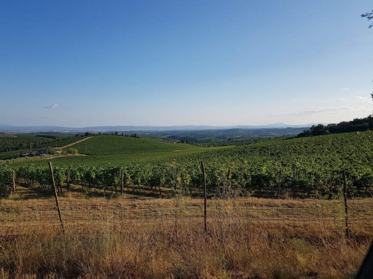 tuscany-siena-san-gimignano-and-chianti-wine-tour